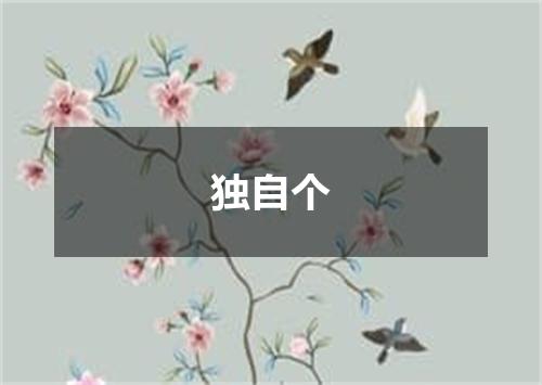 独自个