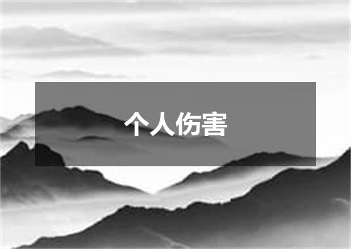 个人伤害