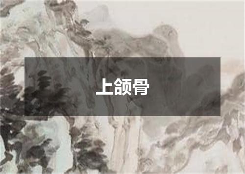 上颌骨