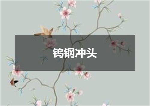钨钢冲头