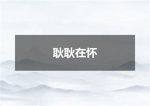 耿耿在怀