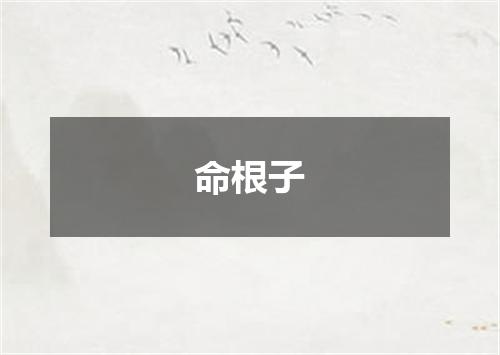命根子
