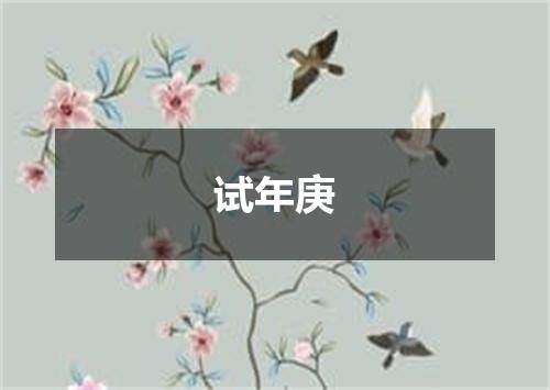 试年庚