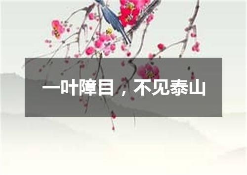 一叶障目，不见泰山