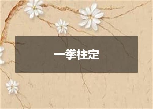 一拳柱定