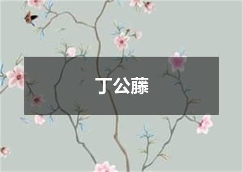 丁公藤