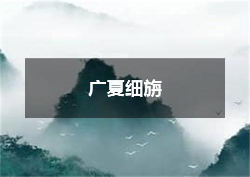 广夏细旃