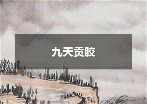九天贡胶