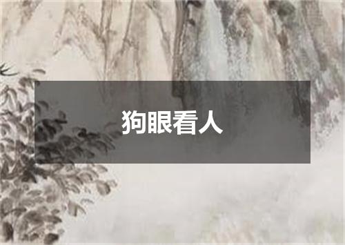 狗眼看人