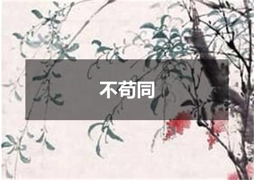 不苟同