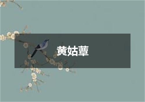 黄姑蕈