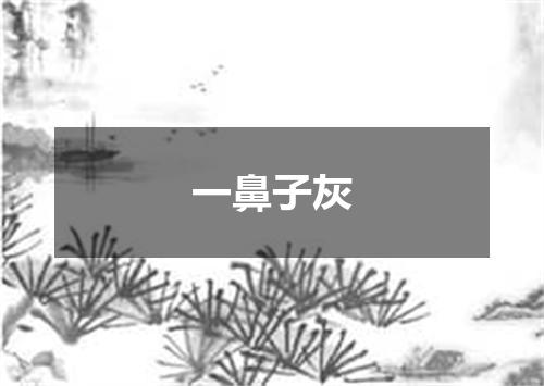 一鼻子灰