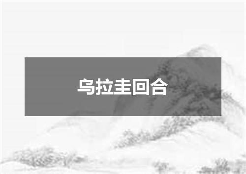 乌拉圭回合
