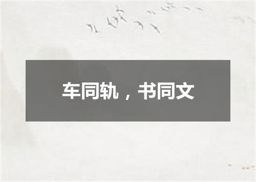车同轨，书同文