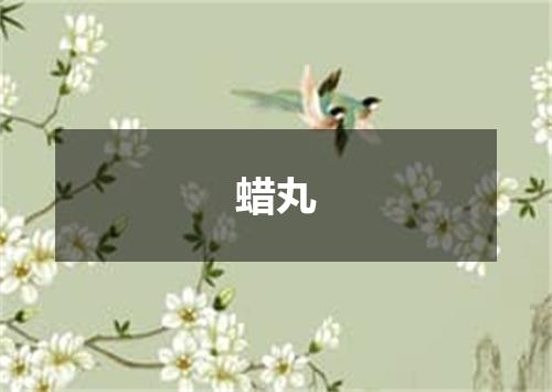 蜡丸