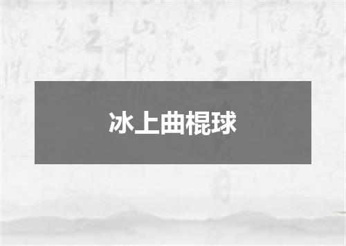冰上曲棍球