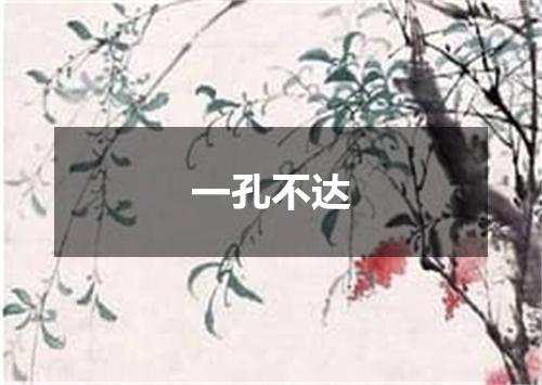 一孔不达