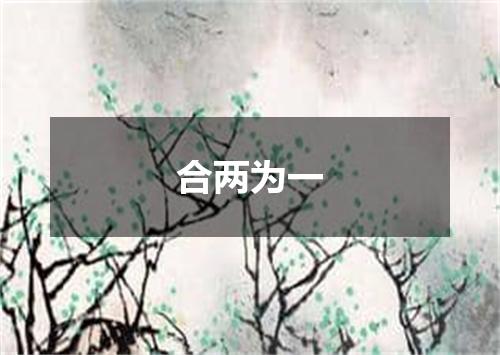 合两为一