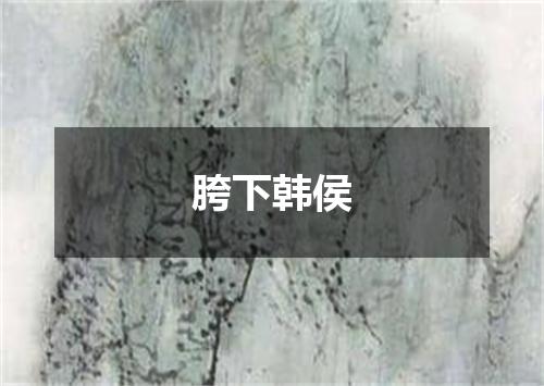 胯下韩侯