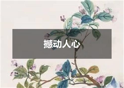 撼动人心