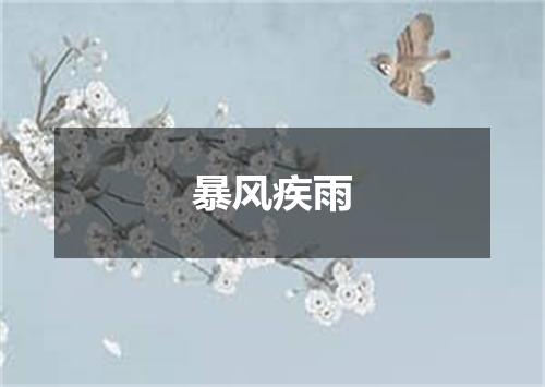 暴风疾雨