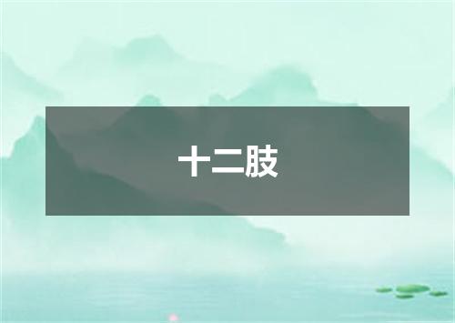 十二肢