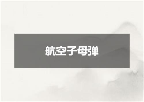 航空子母弹
