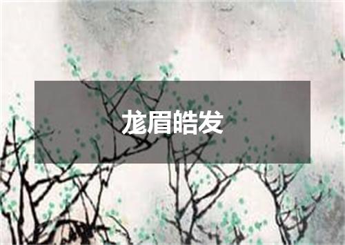尨眉皓发