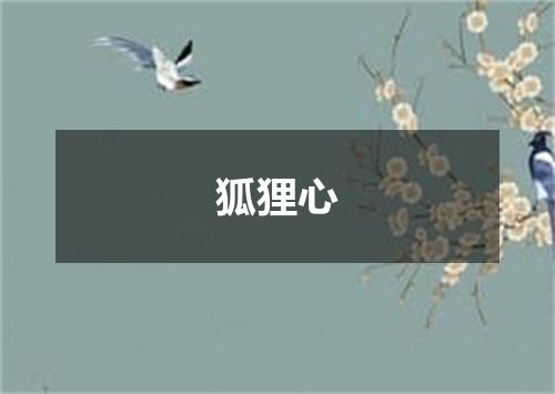 狐狸心