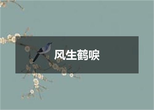 风生鹤唳