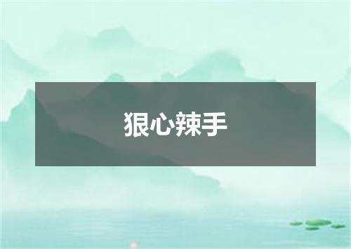 狠心辣手