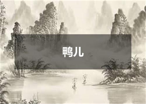 鸭儿