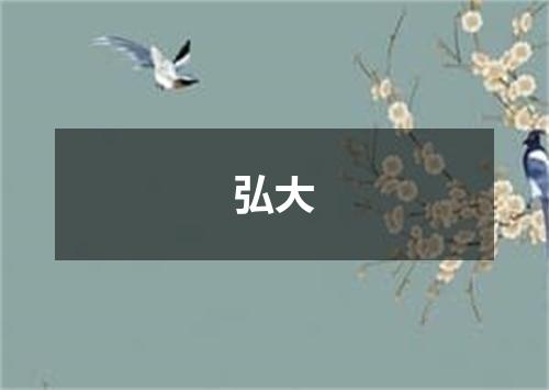 弘大