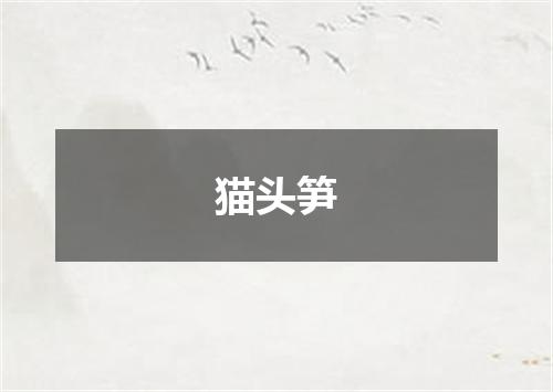 猫头笋