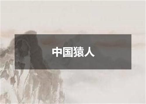 中国猿人