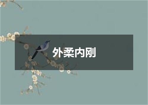 外柔内刚