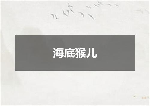 海底猴儿