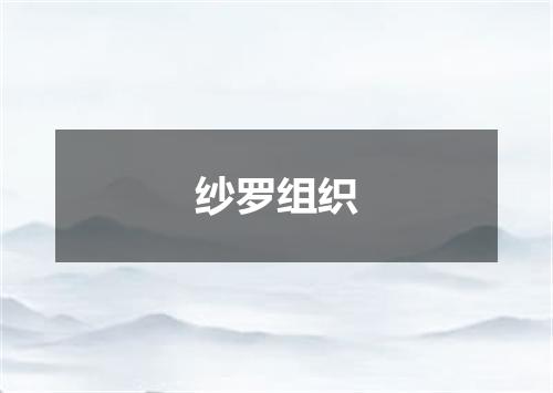 纱罗组织