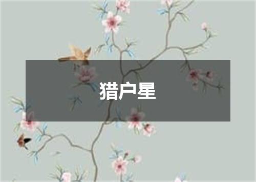 猎户星