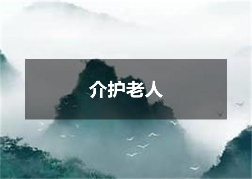 介护老人