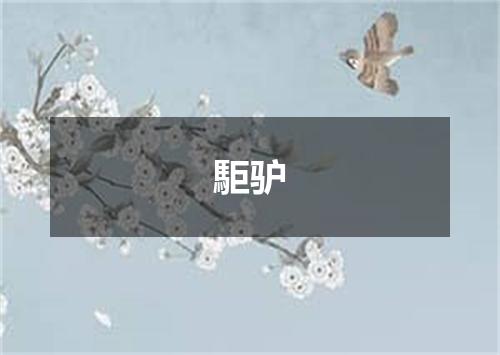 駏驴