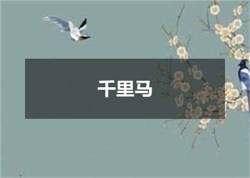 千里马