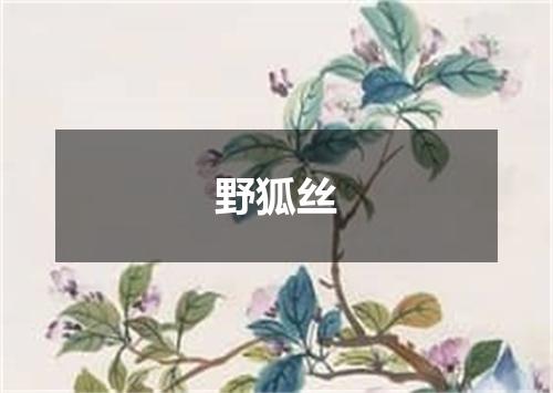 野狐丝