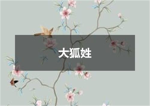 大狐姓