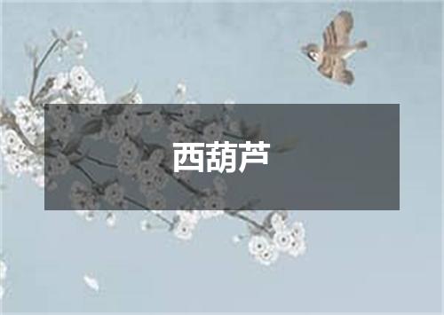 西葫芦