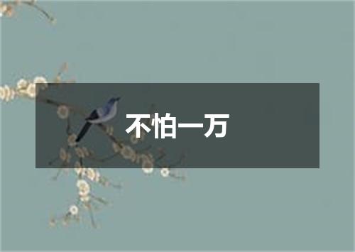 不怕一万