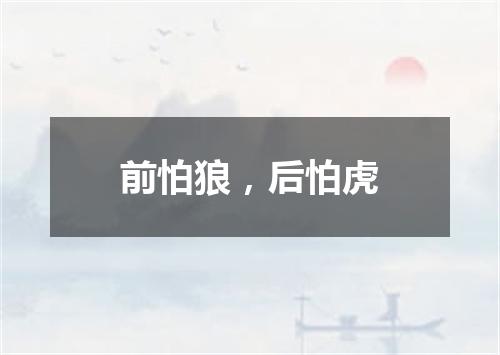 前怕狼，后怕虎