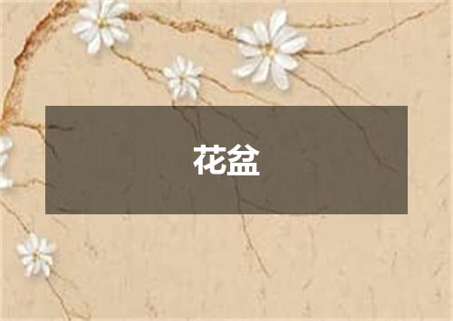 花盆