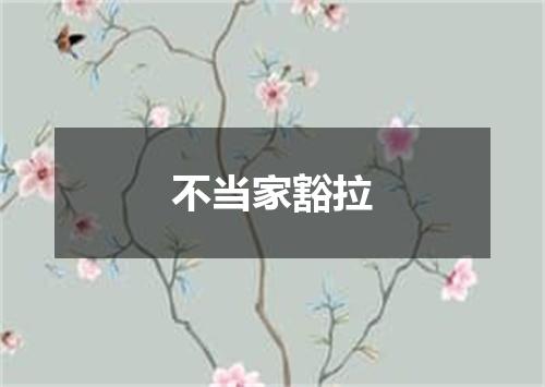 不当家豁拉