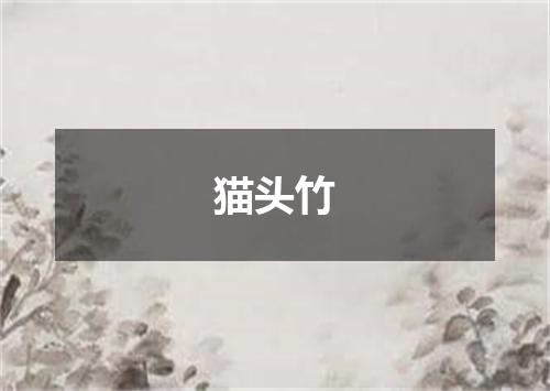 猫头竹